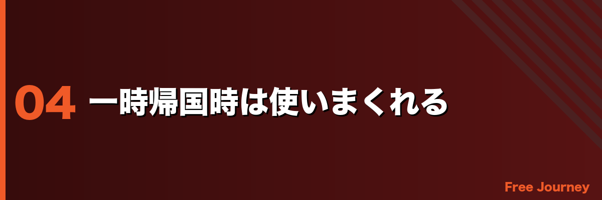 一時帰国時は使いまくれる