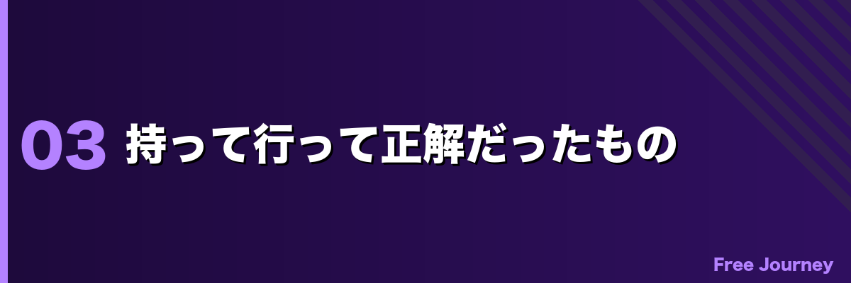 持って行って正解だったもの